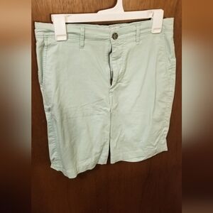Goodfellow & Co Green Flat Front Shorts